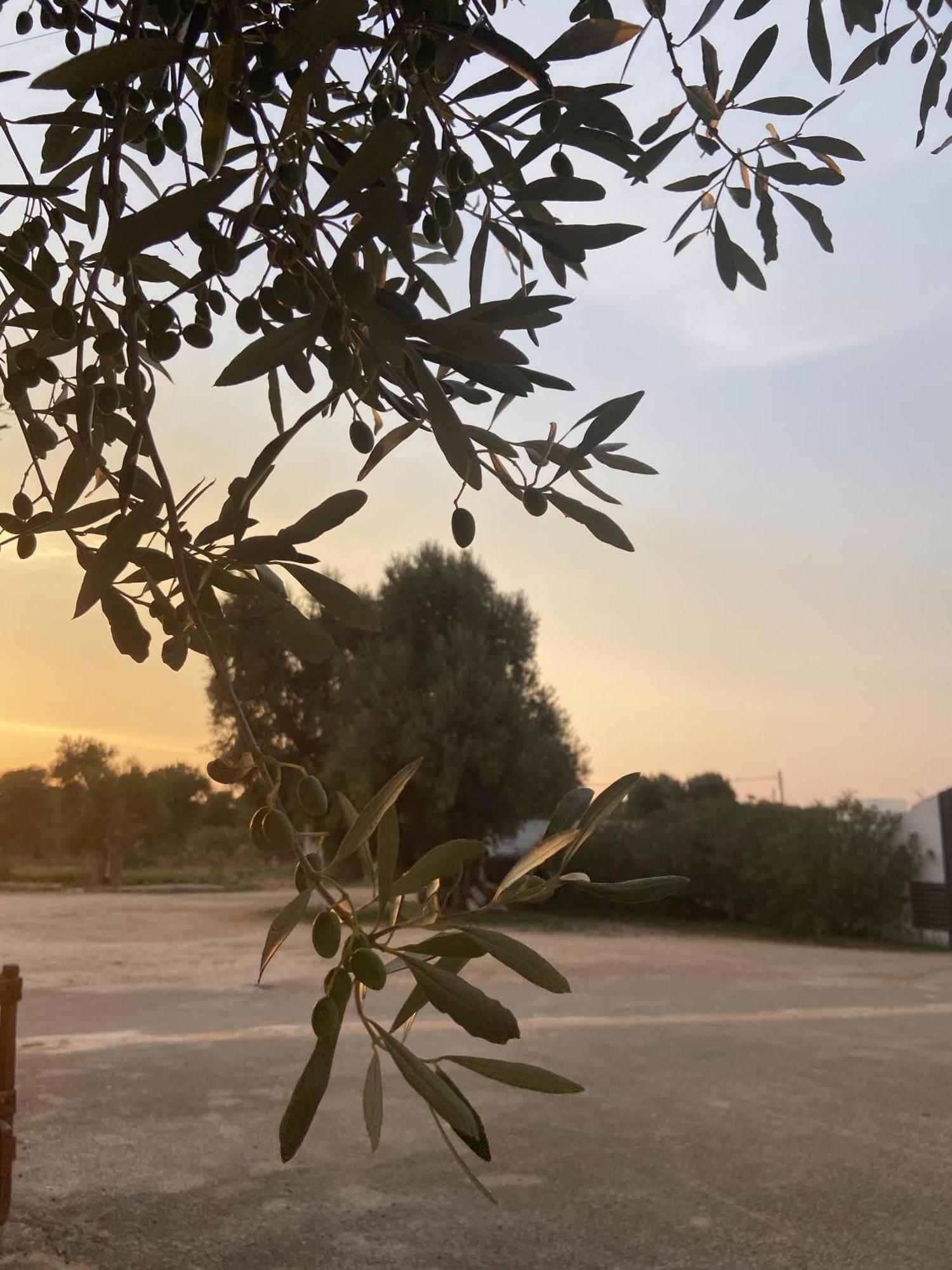 Masseria Conca D'Oro Ostuni Εξωτερικό φωτογραφία